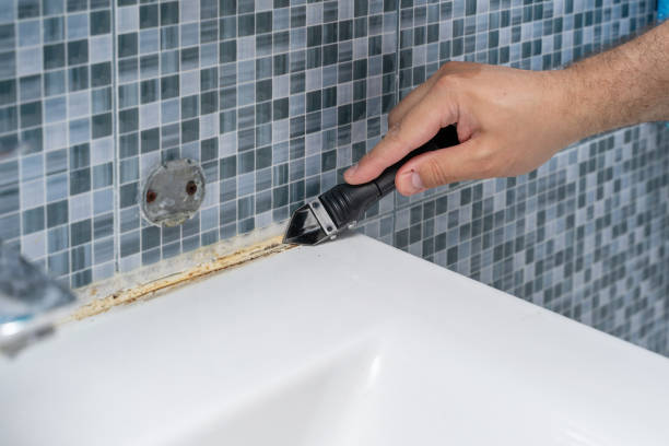 Best Attic Mold Removal  in Woodland Hills, UT
